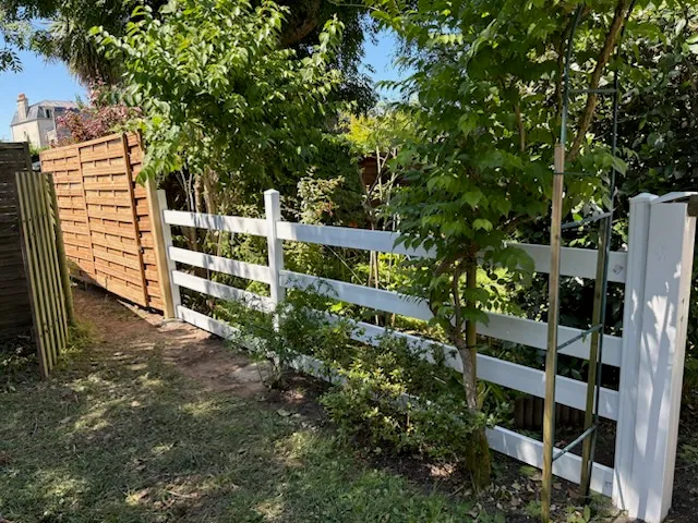 after-image