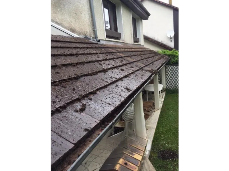 before-image