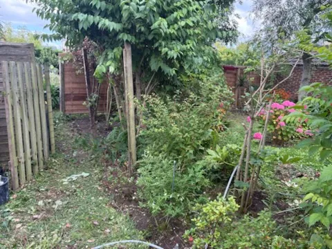 before-image