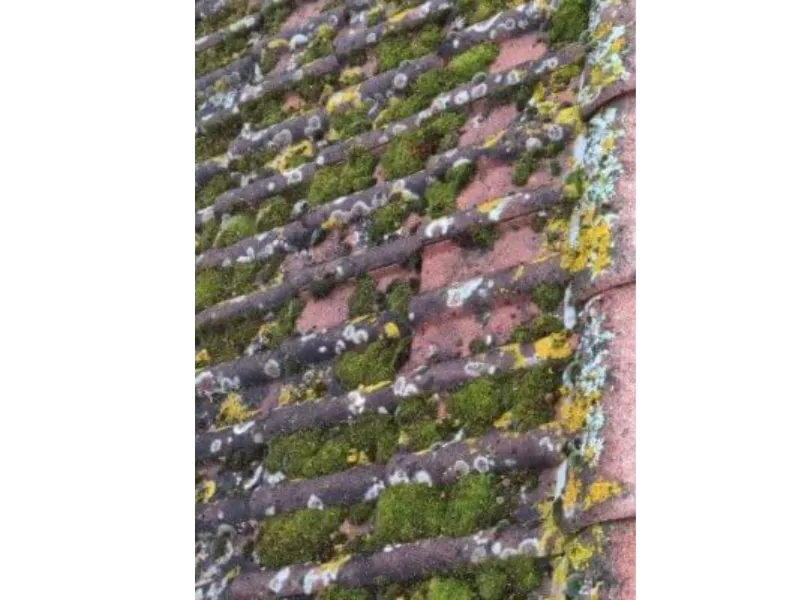 before-image